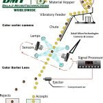 color-sorter-balaji-microtechnologies